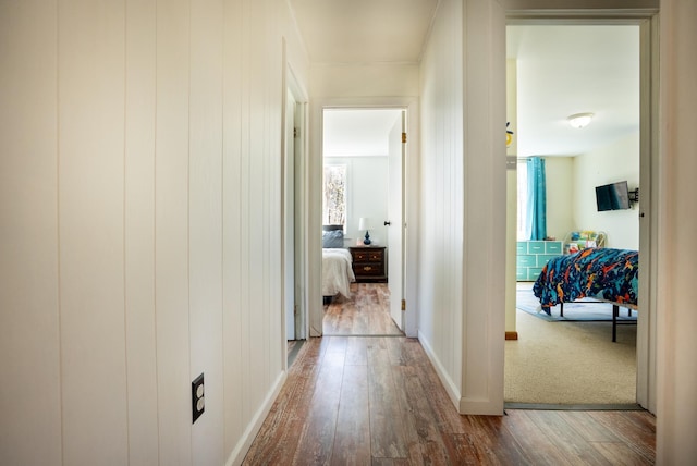 corridor featuring wood-type flooring, baseboards, and a healthy amount of sunlight