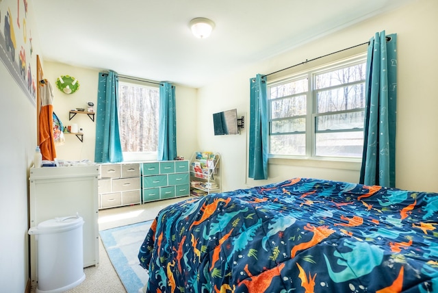 carpeted bedroom with multiple windows
