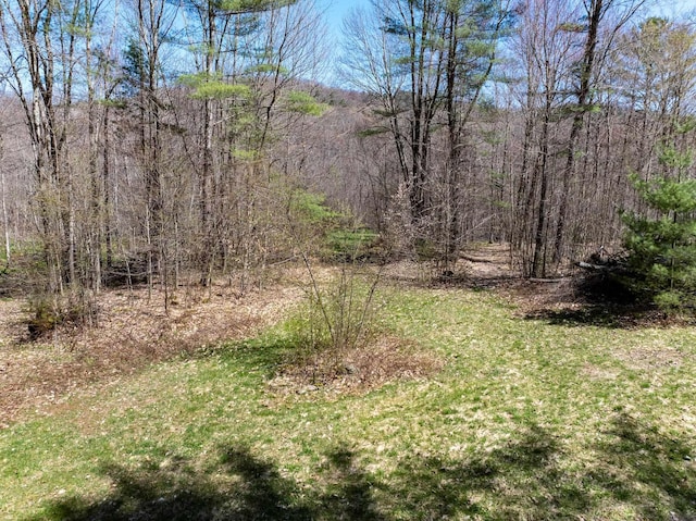view of yard featuring a forest view