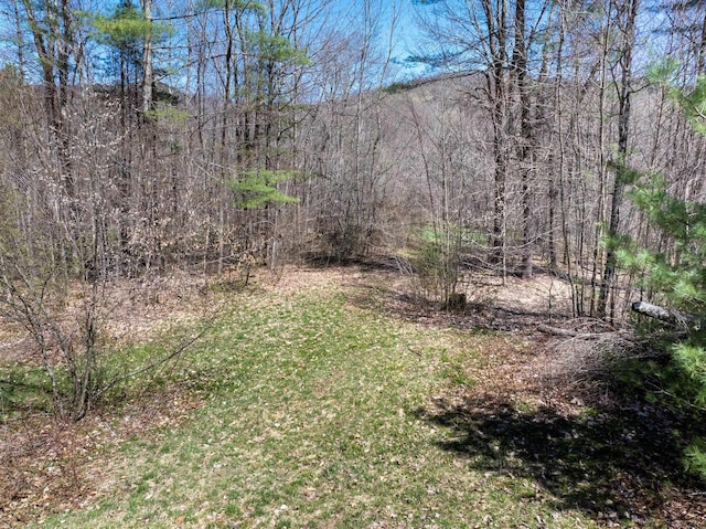 view of yard featuring a view of trees