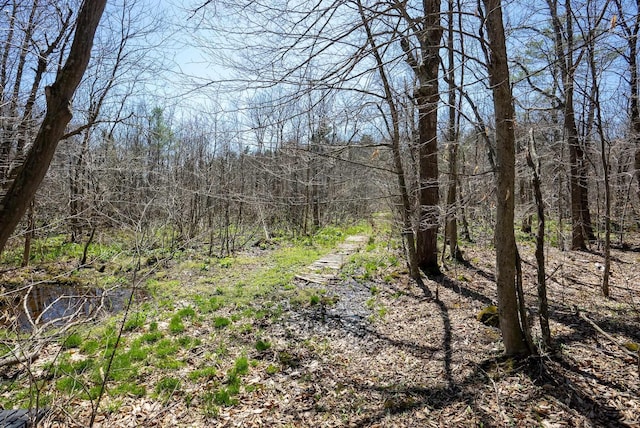 view of nature
