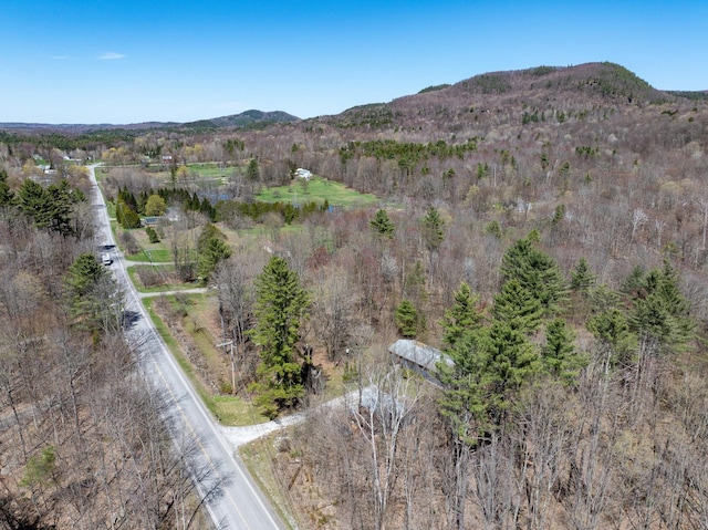 property view of mountains featuring a wooded view