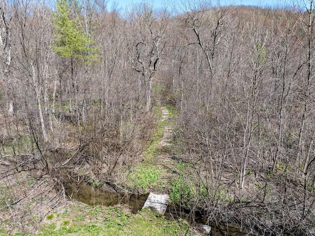 view of local wilderness with a wooded view