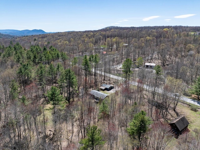 birds eye view of property with a wooded view and a mountain view