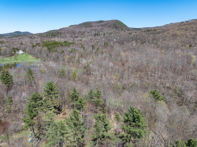 view of mountain feature with a forest view
