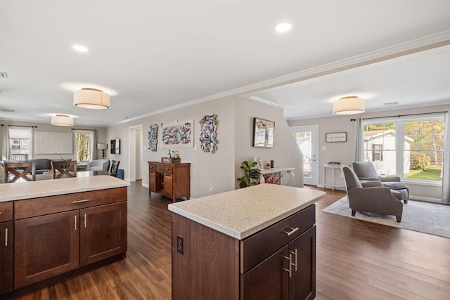 kitchen featuring dark wood-style flooring, open floor plan, and recessed lighting