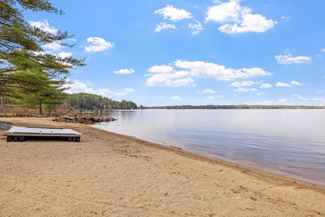 property view of water with a beach view