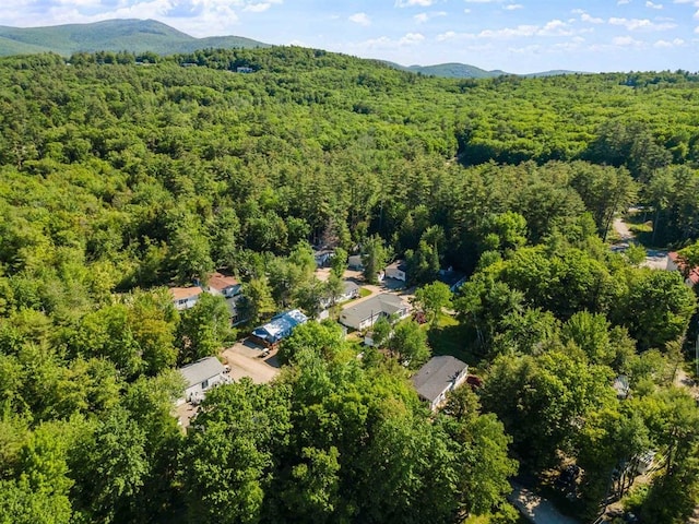 aerial view with a forest view and a mountain view