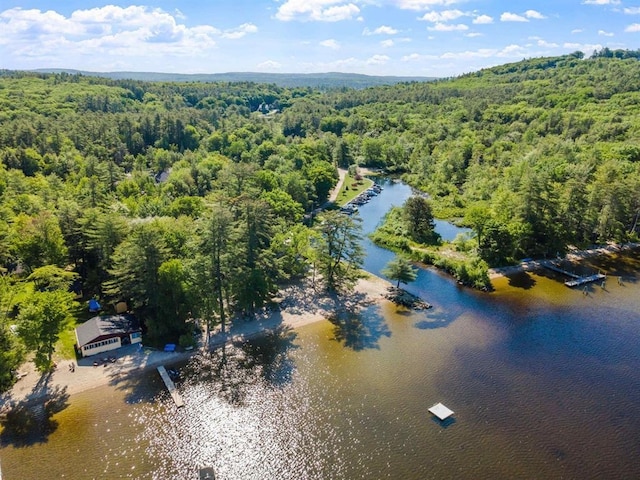 aerial view with a water view and a view of trees