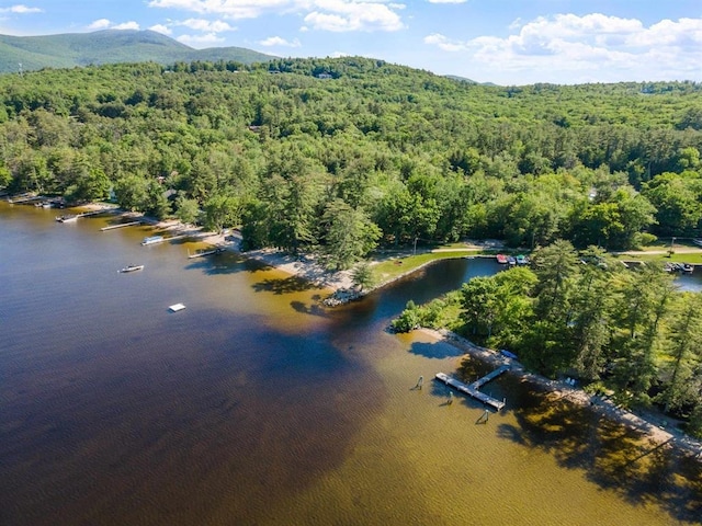 drone / aerial view with a wooded view and a water and mountain view