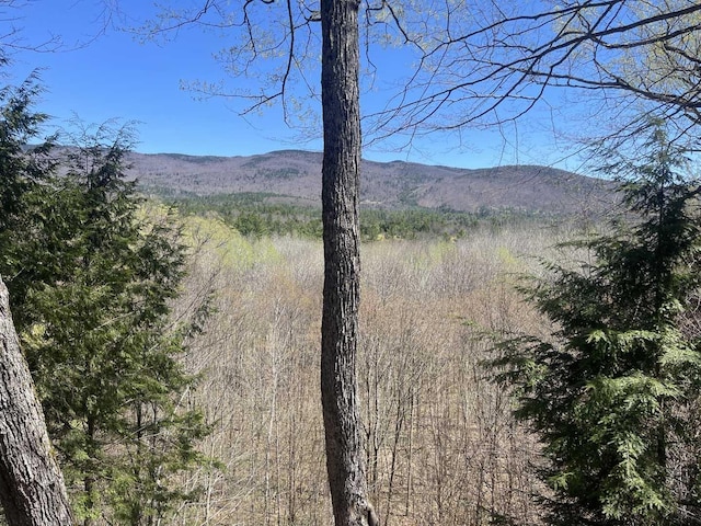 view of mountain feature with a wooded view