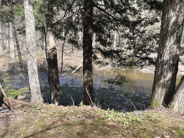 view of water feature