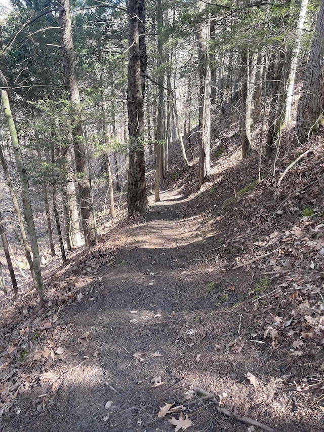 view of road