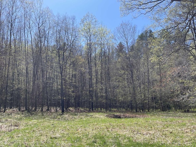 view of local wilderness featuring a view of trees
