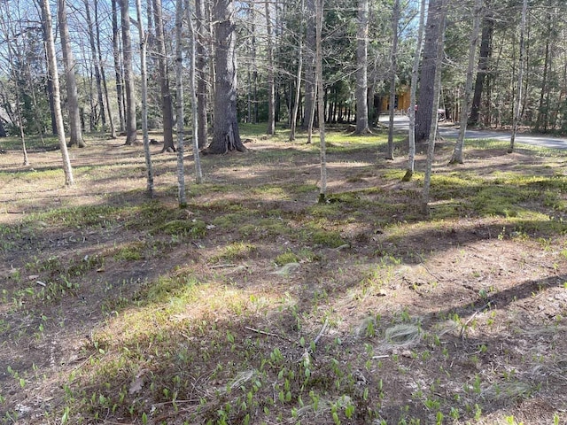 view of yard with a forest view