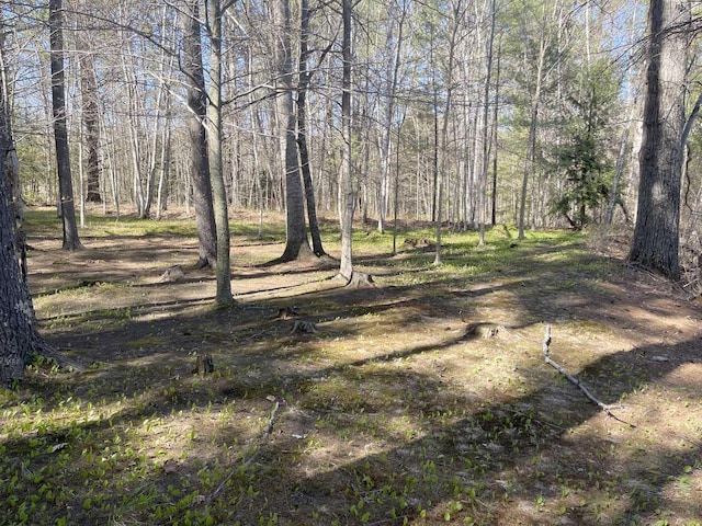 view of local wilderness featuring a view of trees