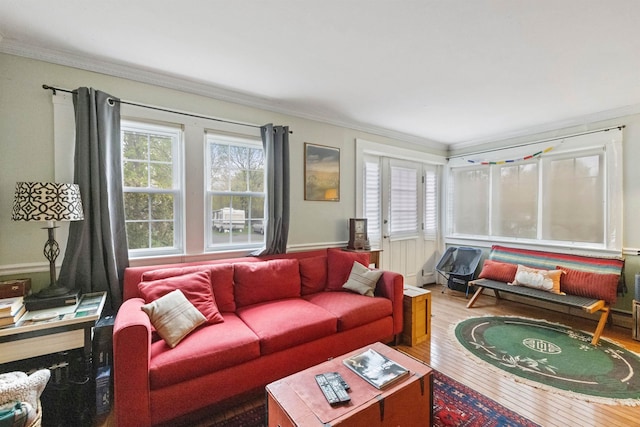living room with crown molding and wood-type flooring