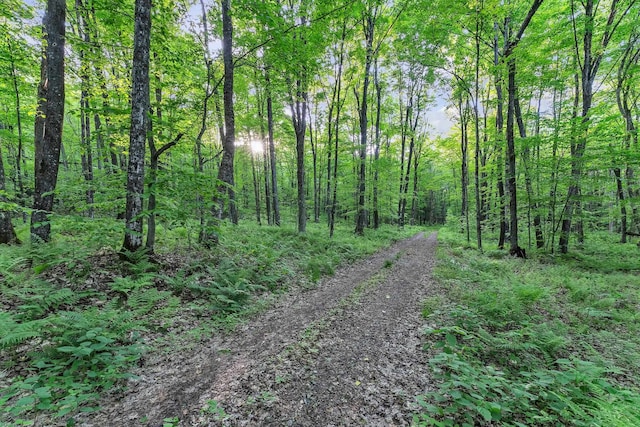 view of street featuring a forest view