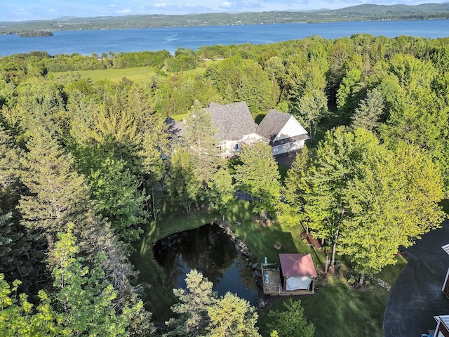 drone / aerial view featuring a water view and a view of trees