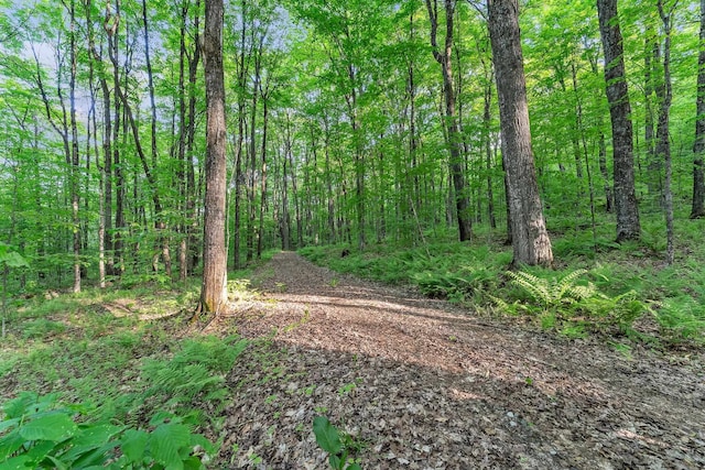 view of nature with a forest view