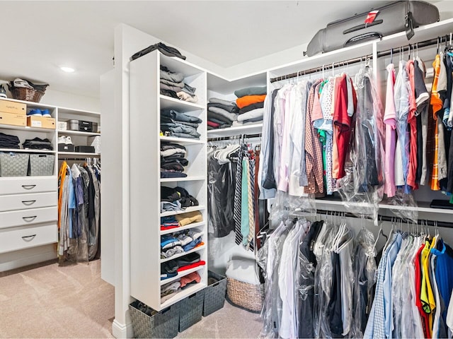 spacious closet with carpet floors