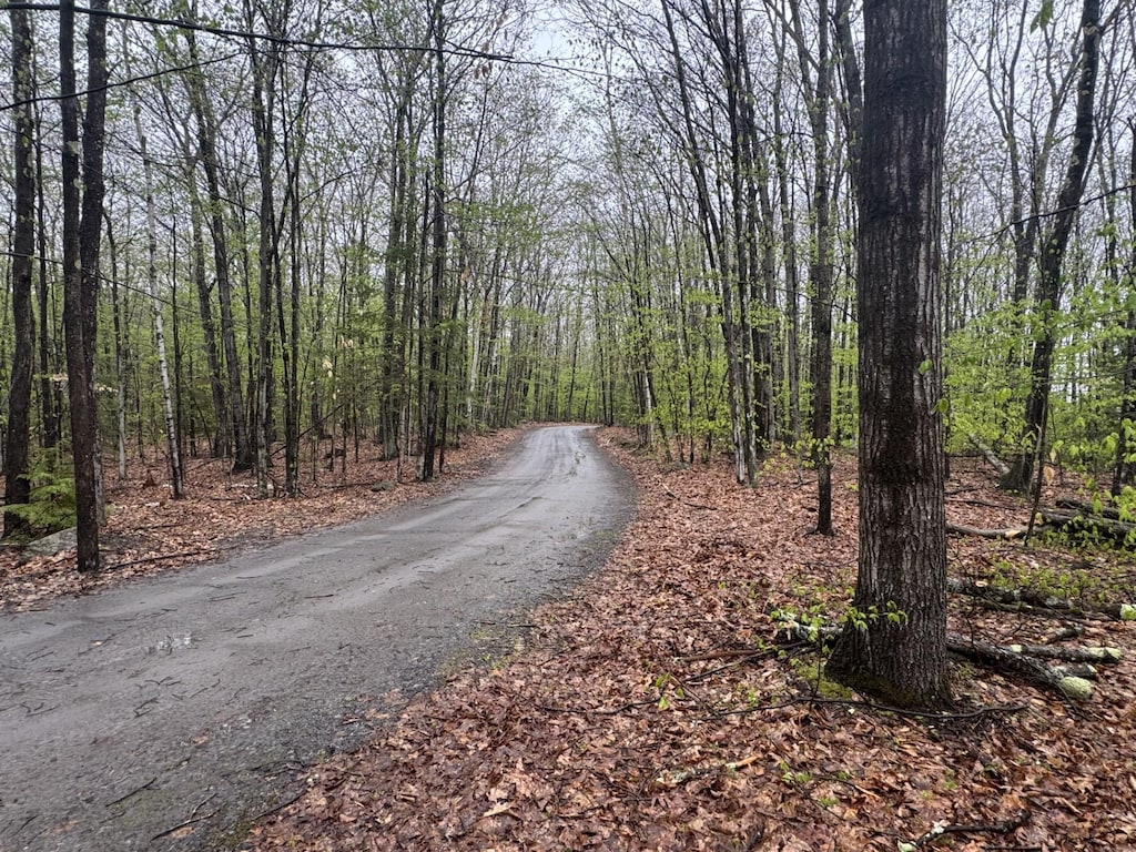 0 Old Walpole Rd, Surry, NH 03431