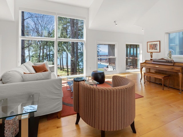25 Oakledge Dr, Burlington, VT 05401 - living room featuring light wood-style floors and high vaulted ceiling