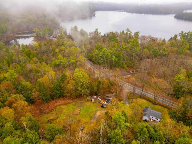 drone / aerial view with a water view and a forest view