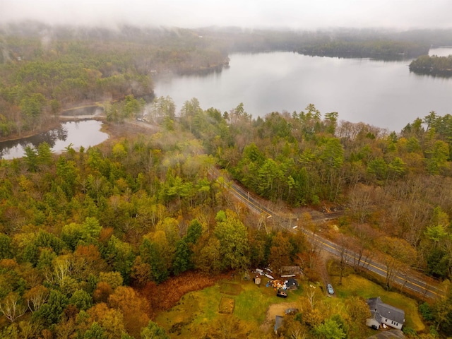bird's eye view featuring a water view and a wooded view