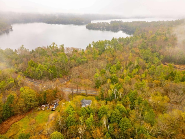 birds eye view of property featuring a water view and a view of trees