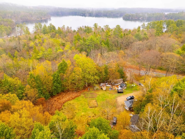 bird's eye view featuring a water view and a view of trees