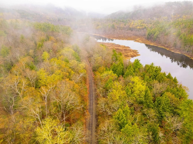 bird's eye view featuring a water view and a forest view