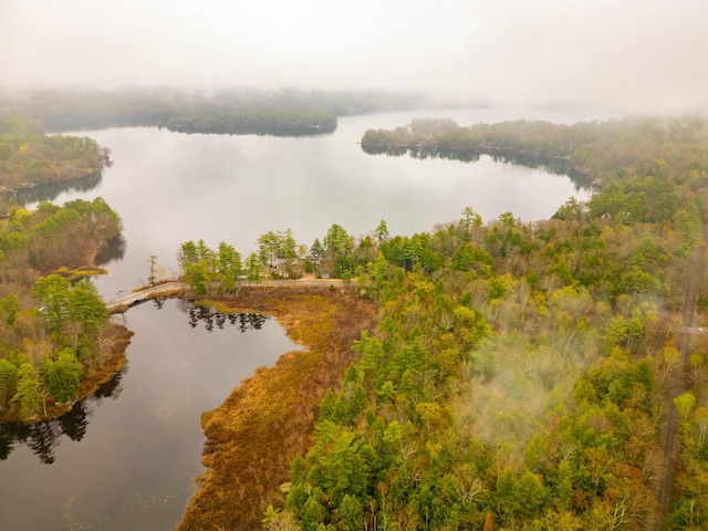 bird's eye view with a water view and a forest view