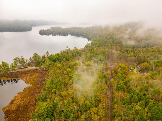 drone / aerial view featuring a water view and a view of trees