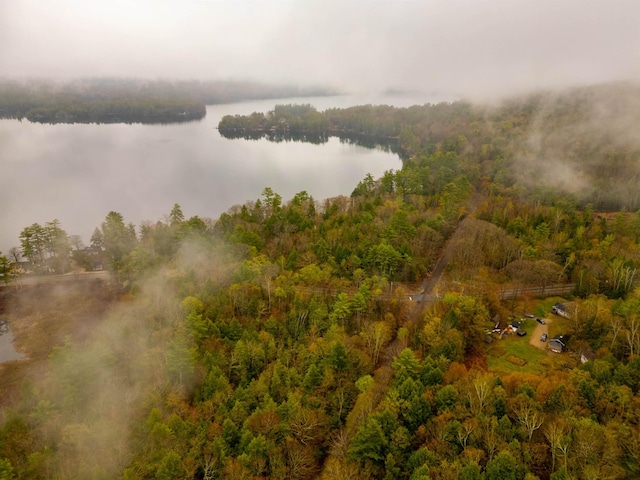 drone / aerial view featuring a wooded view and a water view