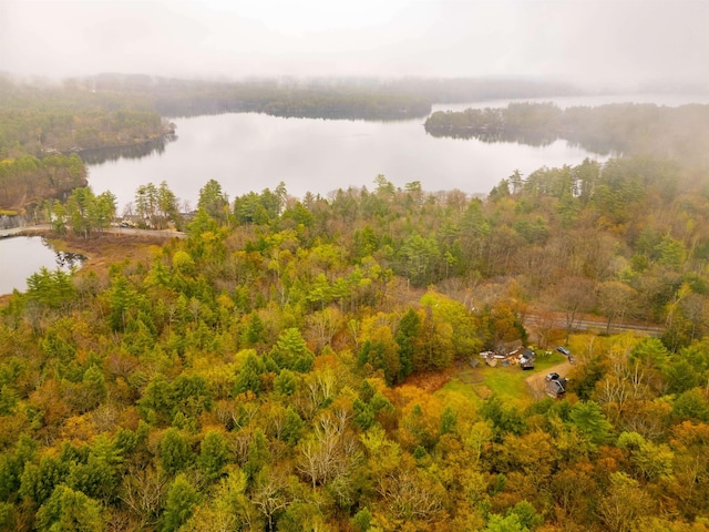 drone / aerial view featuring a water view and a wooded view