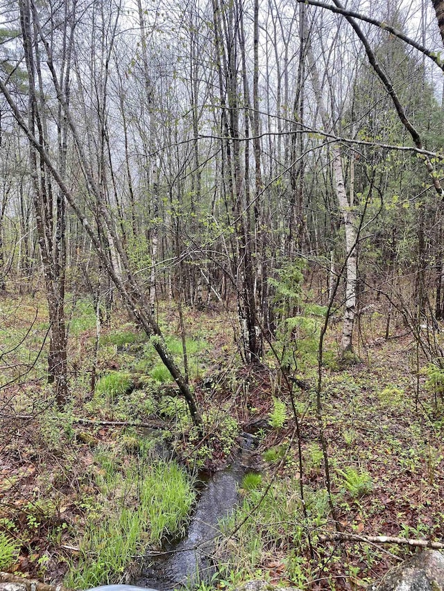 Catamount Rd, Pittsfield, NH 03263