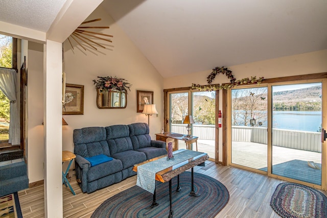 26 Private W 4, Maidstone, VT 05905 - living room with vaulted ceiling and light wood-style floors