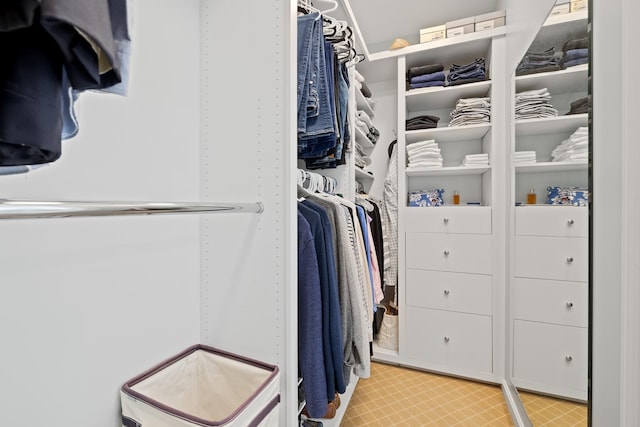 view of spacious closet