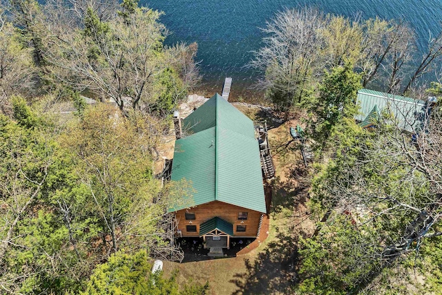 drone / aerial view