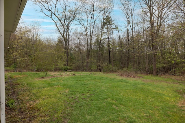 view of yard with a forest view