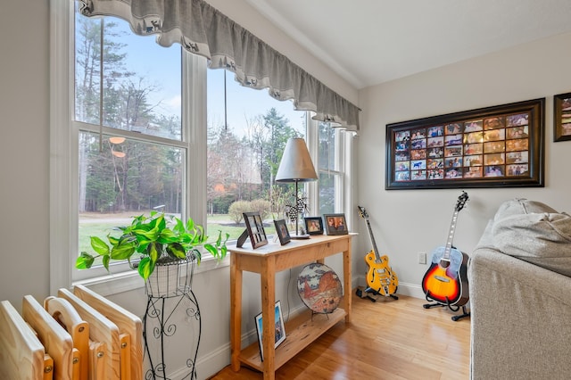 living area featuring baseboards and wood finished floors