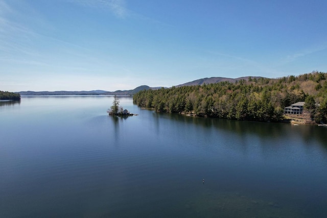 water view featuring a mountain view