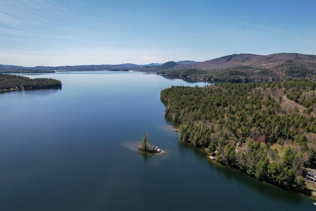 bird's eye view featuring a water and mountain view and a forest view