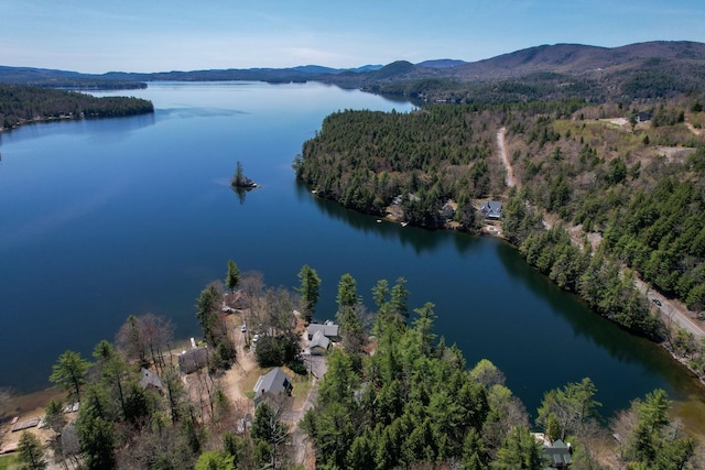 birds eye view of property with a water and mountain view and a forest view