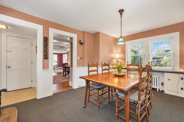 dining room with dark carpet, radiator, wainscoting, and plenty of natural light