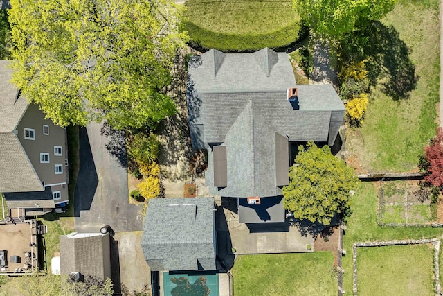 bird's eye view