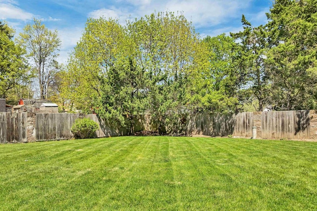 view of yard with a fenced backyard