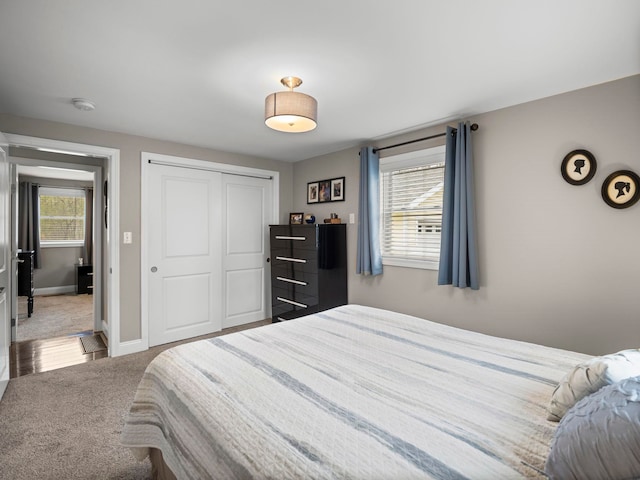 carpeted bedroom featuring baseboards, multiple windows, and a closet
