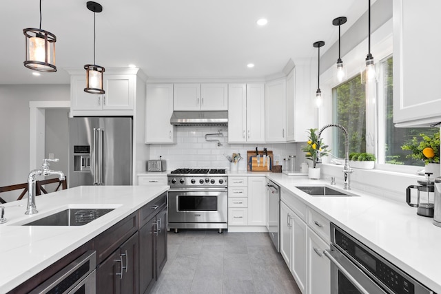 kitchen featuring under cabinet range hood, premium appliances, white cabinets, and a sink